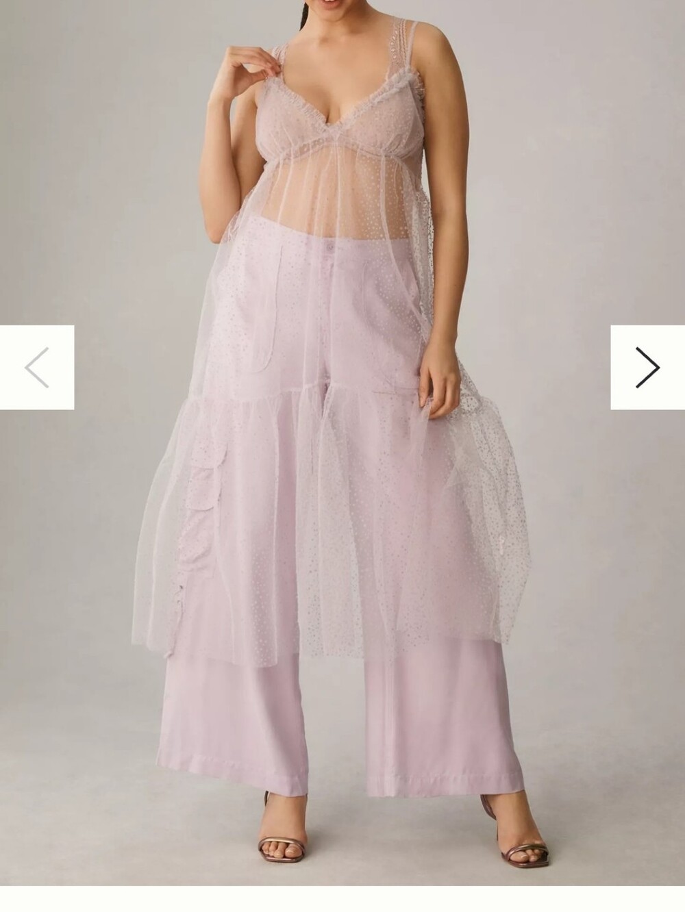 Sheer Dot Tulle Slip Dress